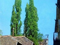 Gornji grad, Matoševa ulica 1970-ih godina A